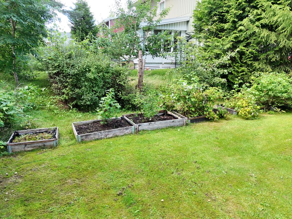 Härligt med plantering i trädgården. 