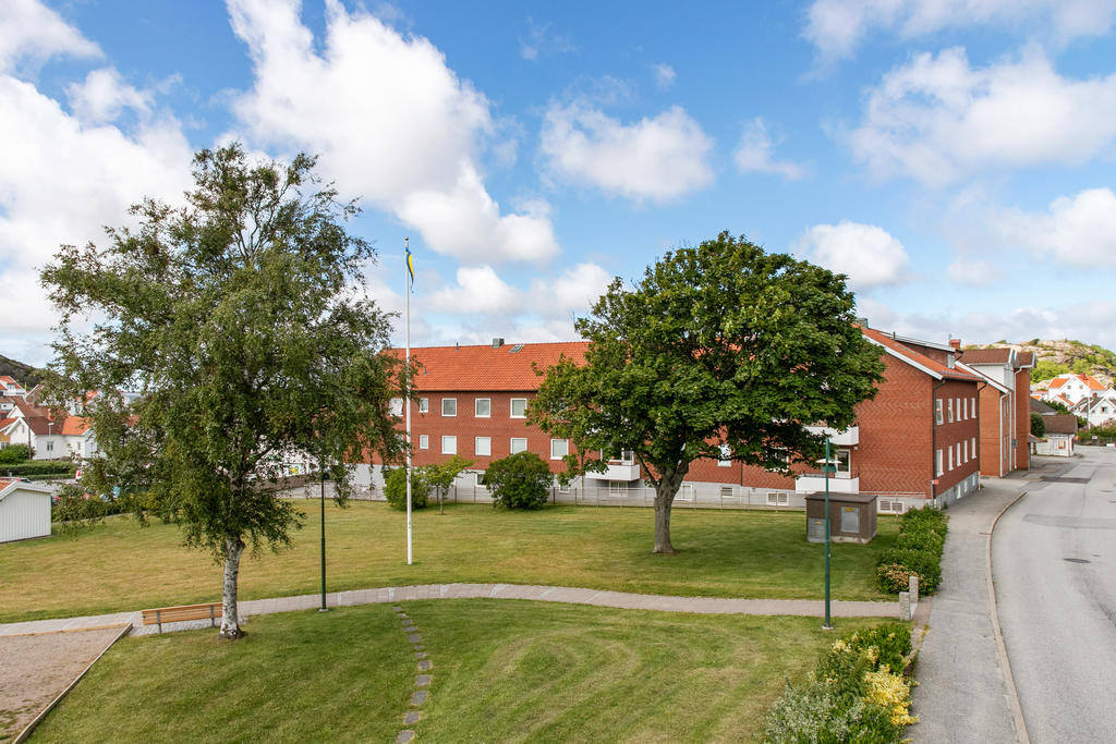Parken i sommarskrud