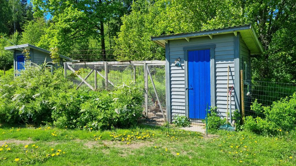 Hönshus med hönsgård till höger i bild och f.d. utedass till vänster