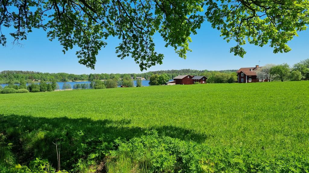 Bedårande vy över ängmark och sjön Viren