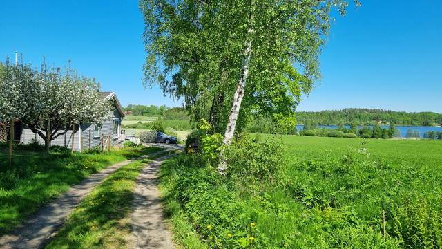 Välkommen till Vad Virängen!