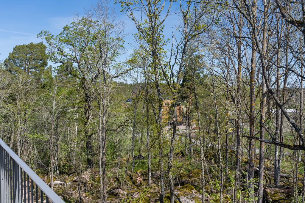 Skogen runt husknuten