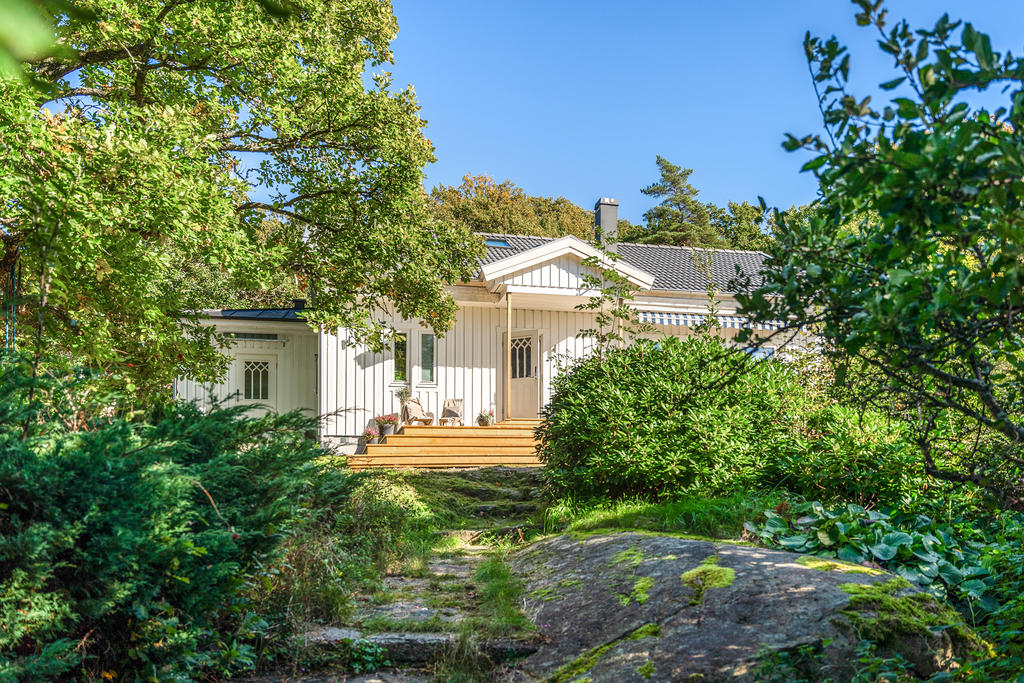 Härlig grönska runt om