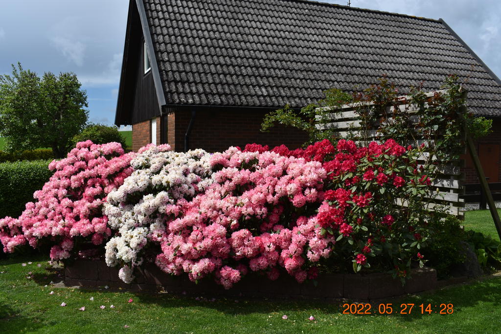 Säljarens egna bild