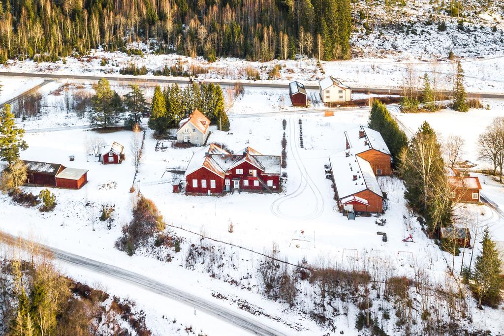 Exteriör
