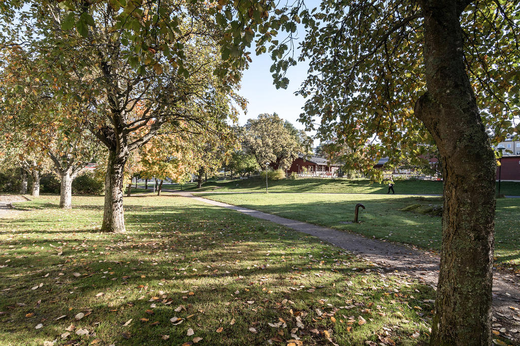 Föreningens gård