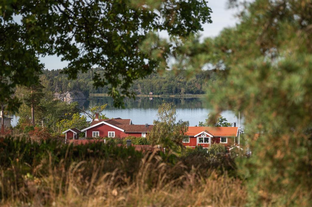 Fin vy från trädgården.