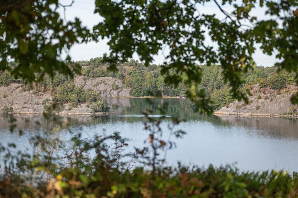 Vyn från tomtgräns.