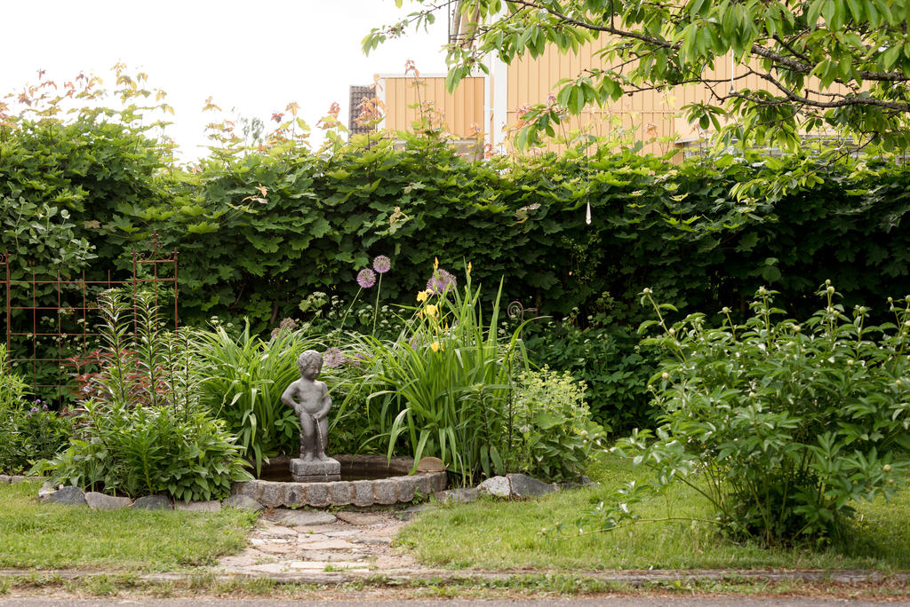 Trädgård.