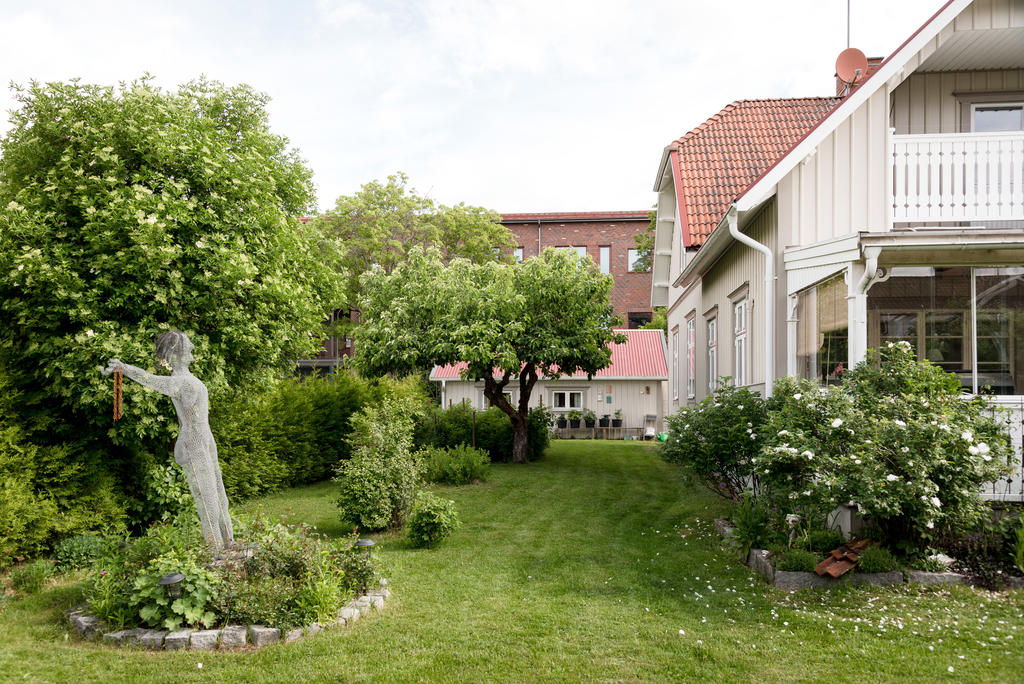 Trädgård.