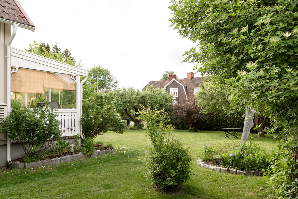 Trädgård.