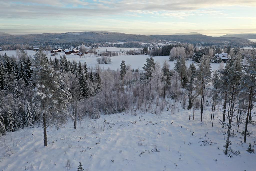 Utsikt från tomt C