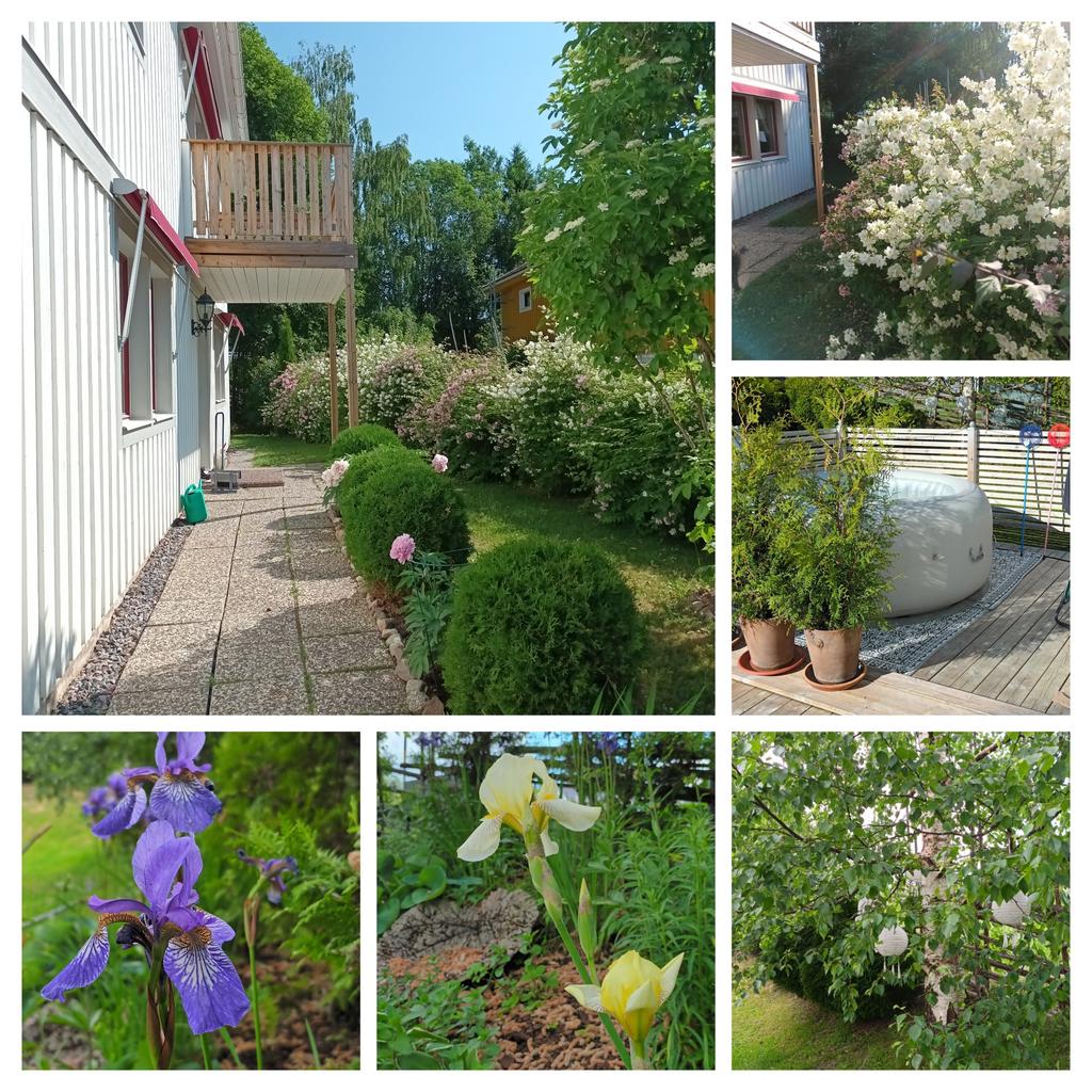 Säljarnas egna sommarbilder