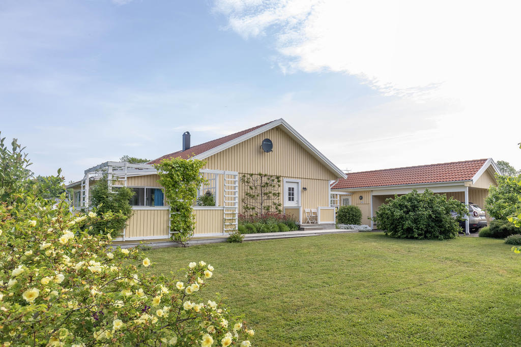 Trädgård