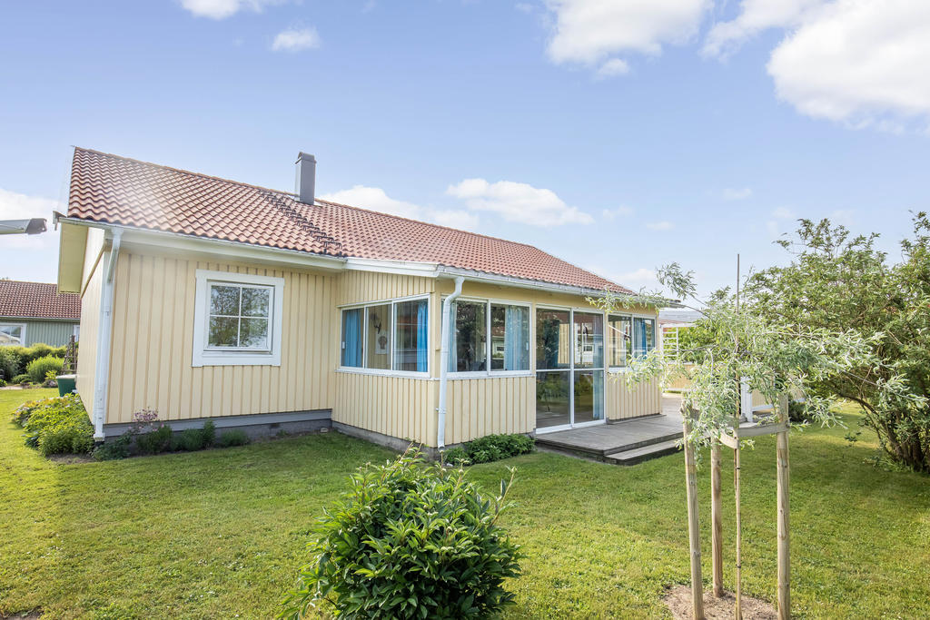 Trädgård