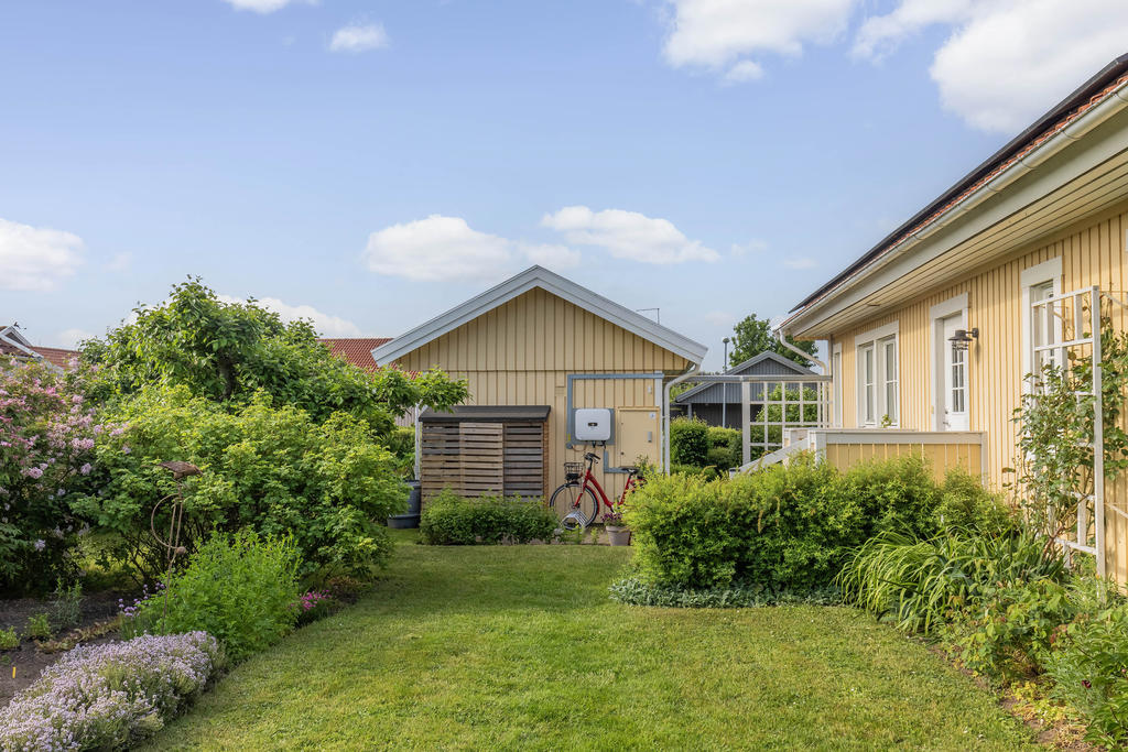 Trädgård