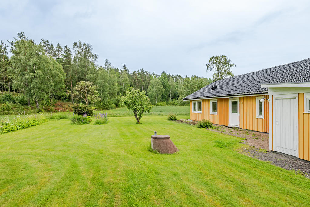 Lättskött trädgård