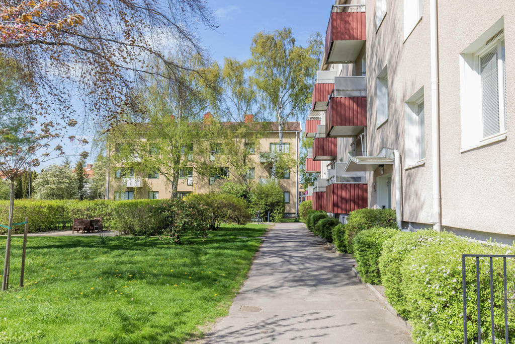 Lummig känsla i området