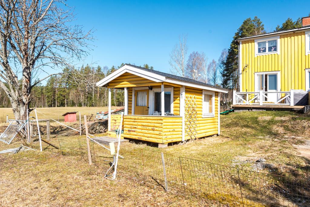 Exteriör