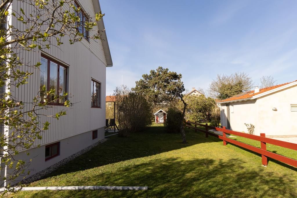 Trädgård