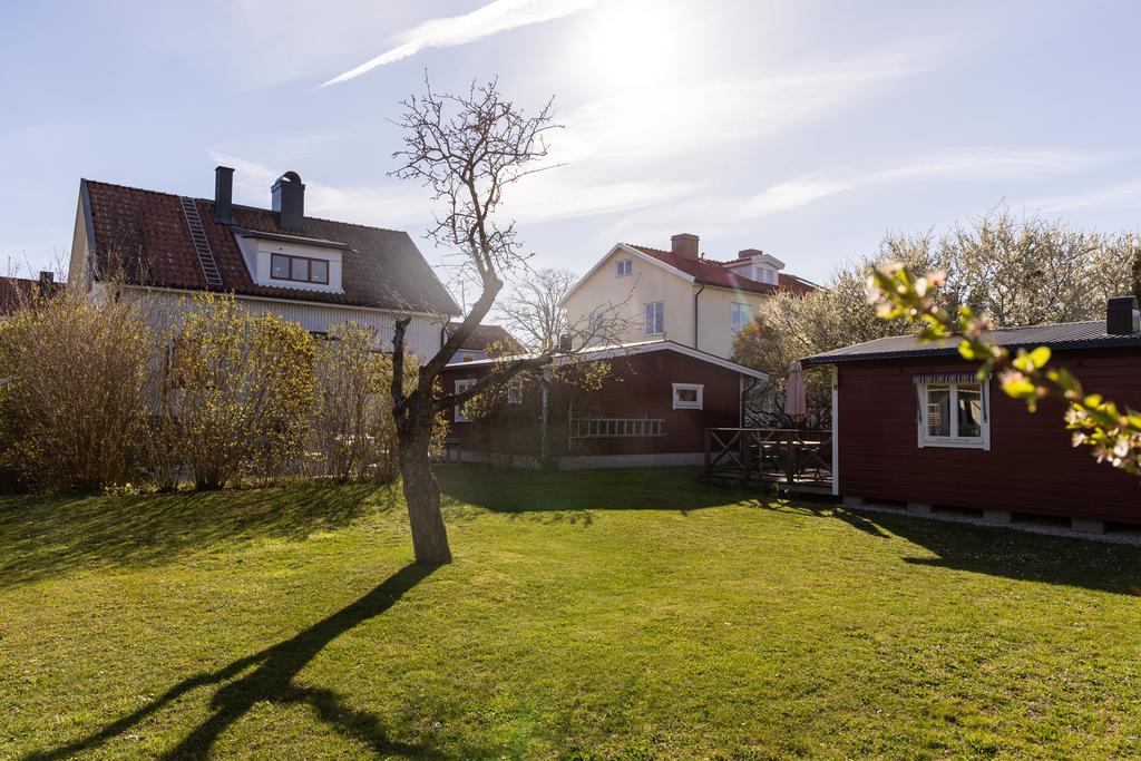 Trädgård