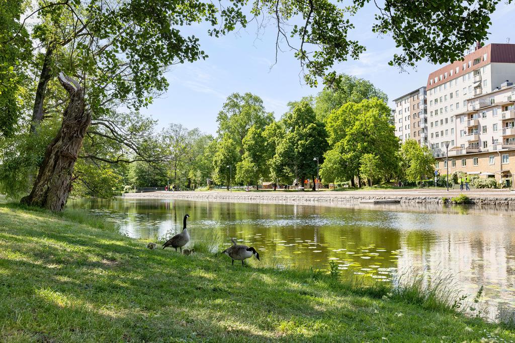 Fina promenadstråk längs ån