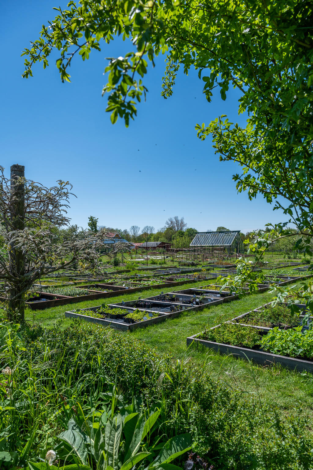 Capellagården