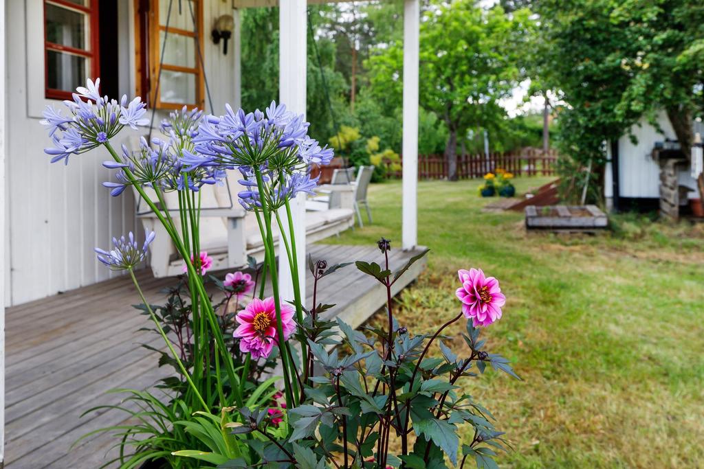 Härlig trädgård med uppvuxen tomt