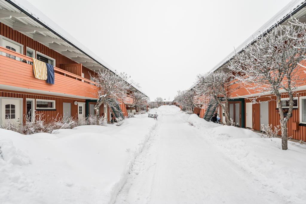 Trevliga Ärtvägen!