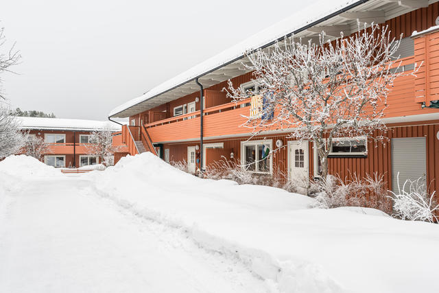 Välkommen till Ärtvägen 110!