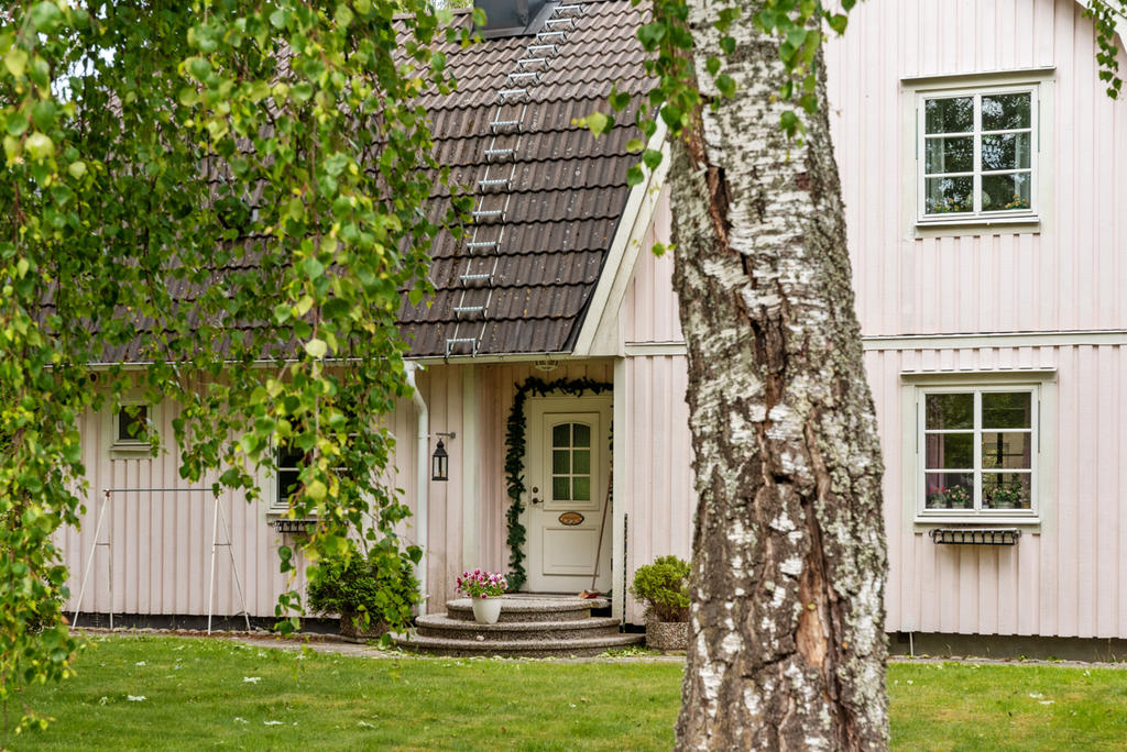 Exteriör. 
