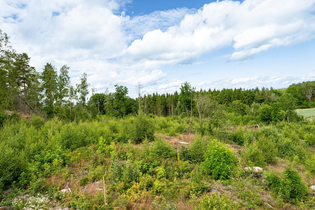 Bygg nytt på plats med vy.