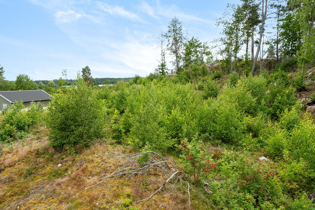 Bygg med valfritt hus från A-hus