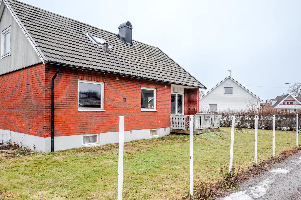 Altan och trädgård