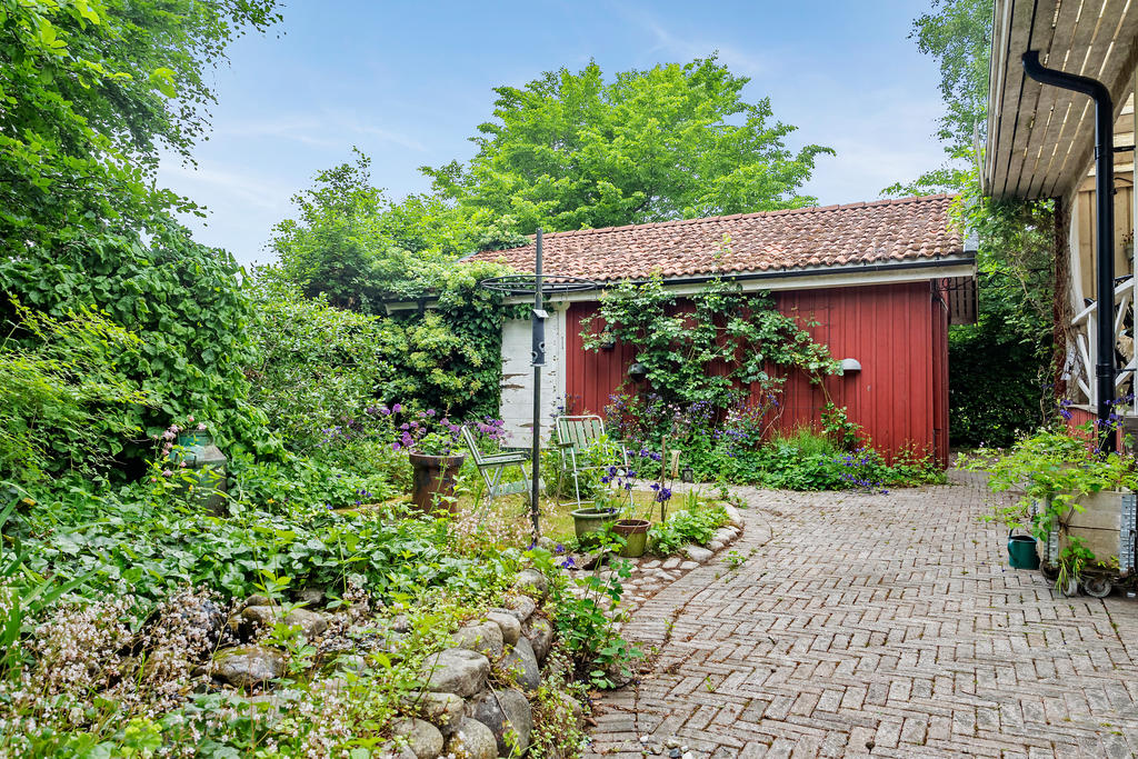 Trädgård