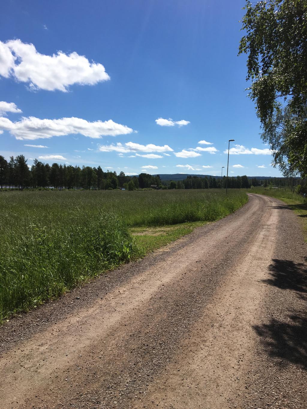 Säljarens egna sommarbild