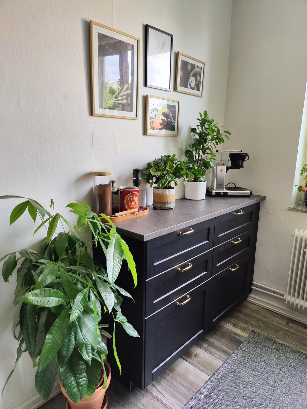 Säljarens egen bild