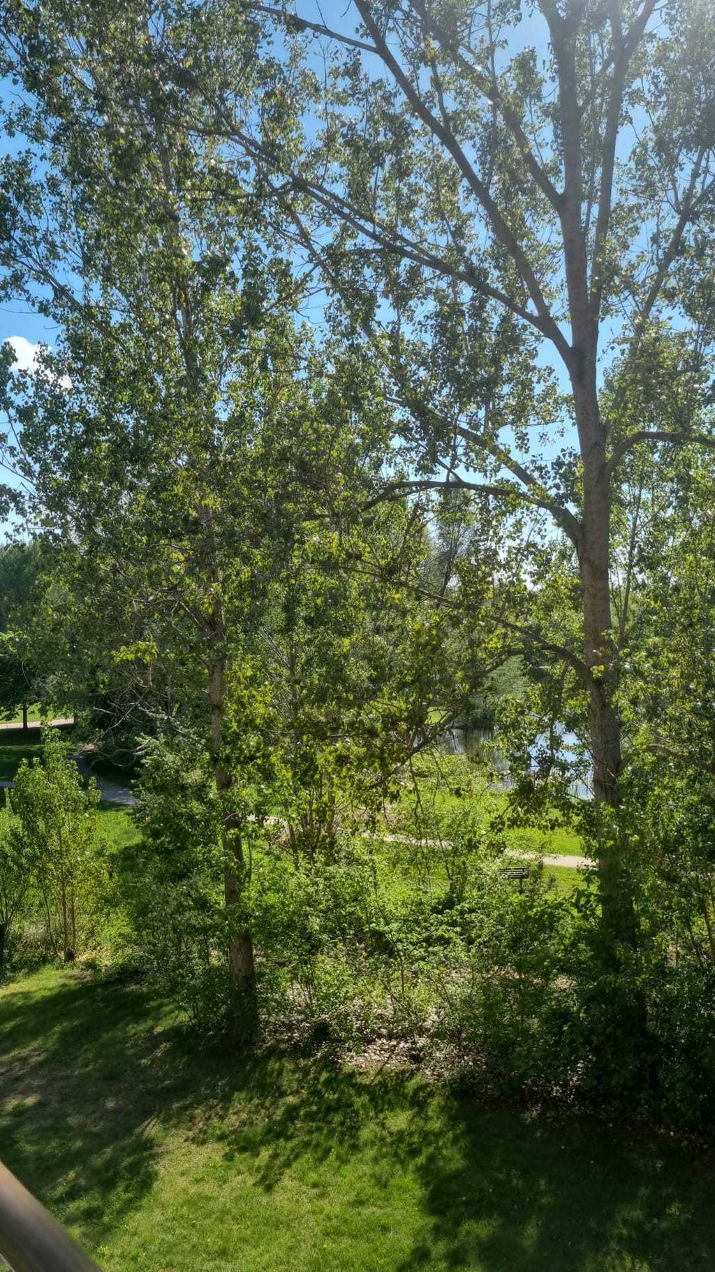 Säljarens sommarbild