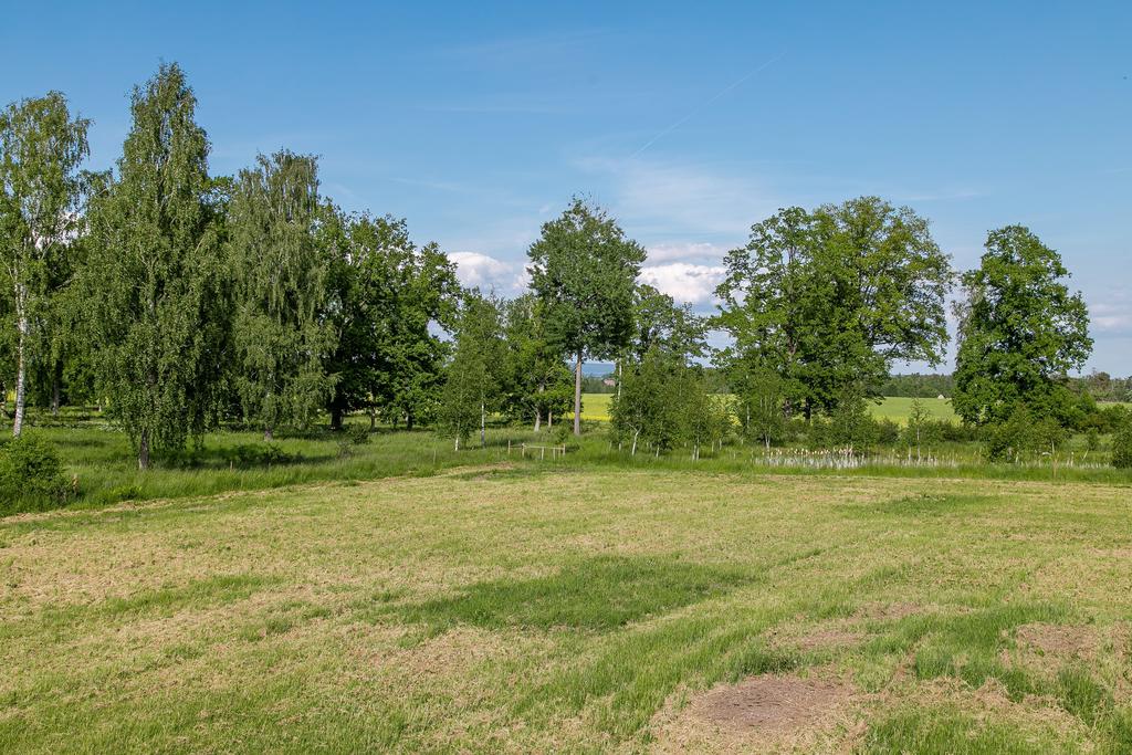 Tomten sommartid