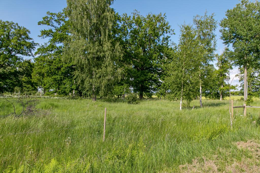 Granne med grönska