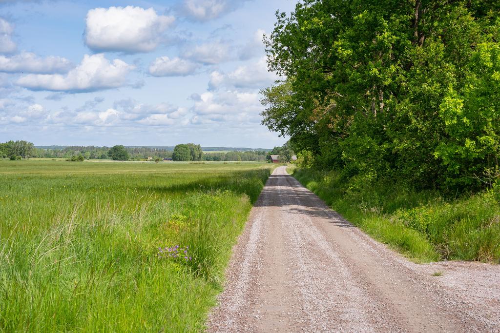 Fantastisk natur utanför tomtgräns