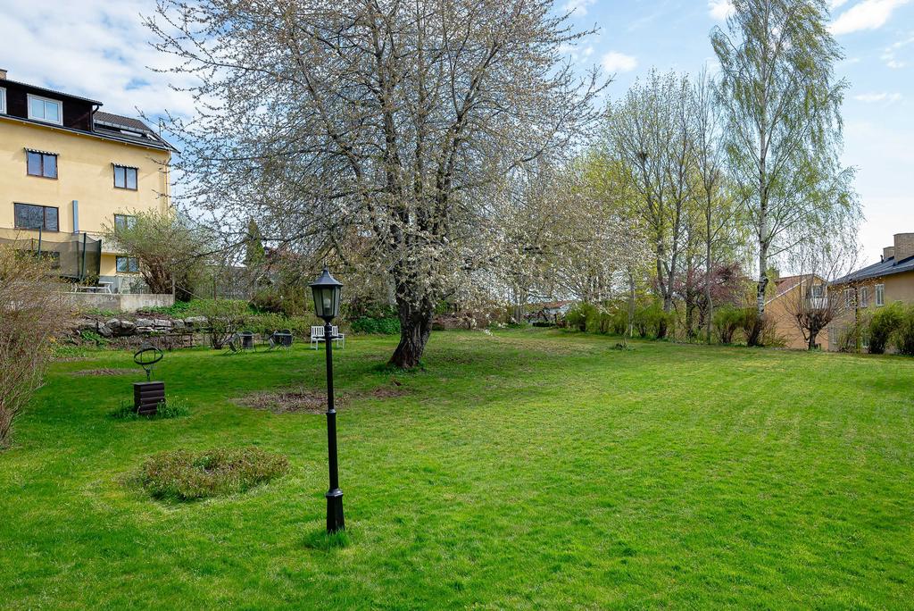 Den härliga trädgården