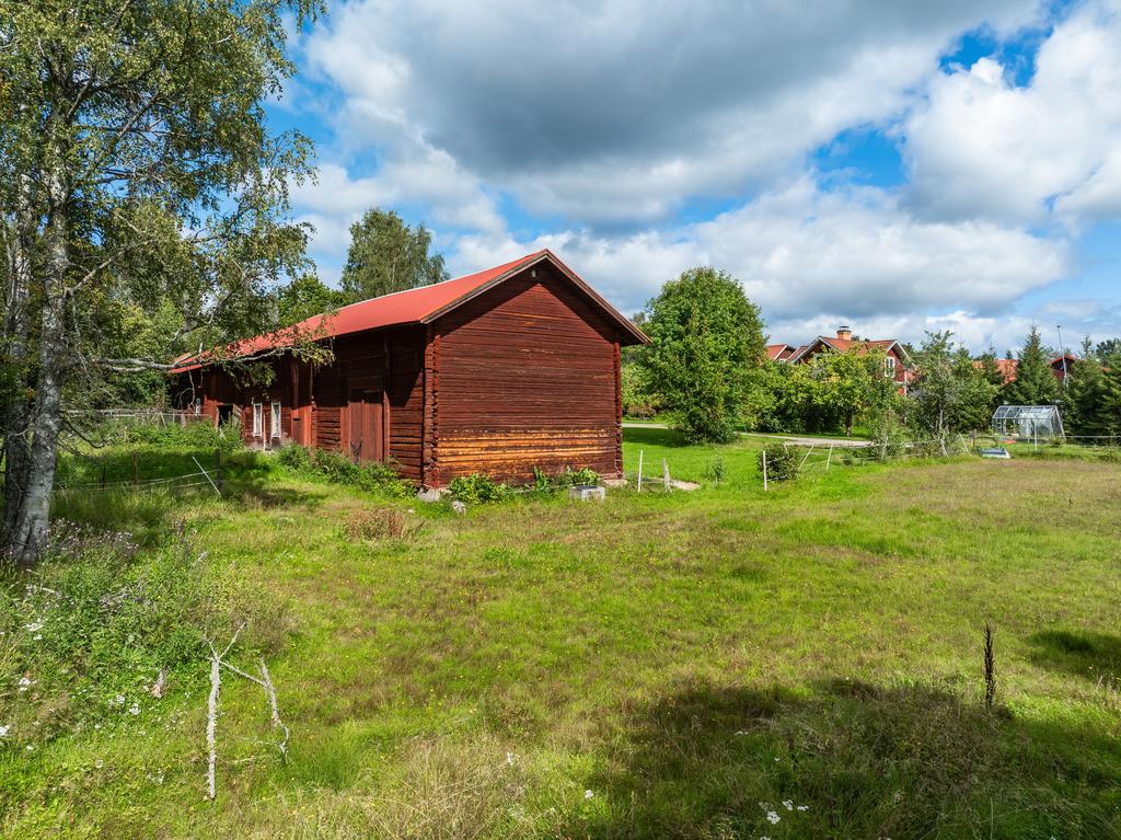 Del av hästhage/trädgård