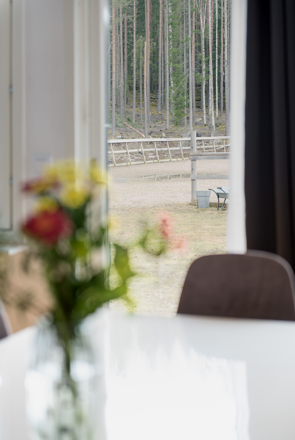 Vy mot hagar och ridbana