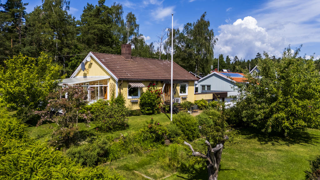 Härlig trädgård