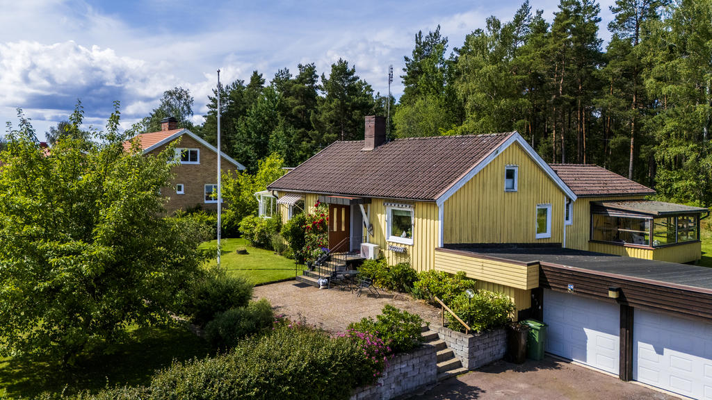 Skogen på baksidan