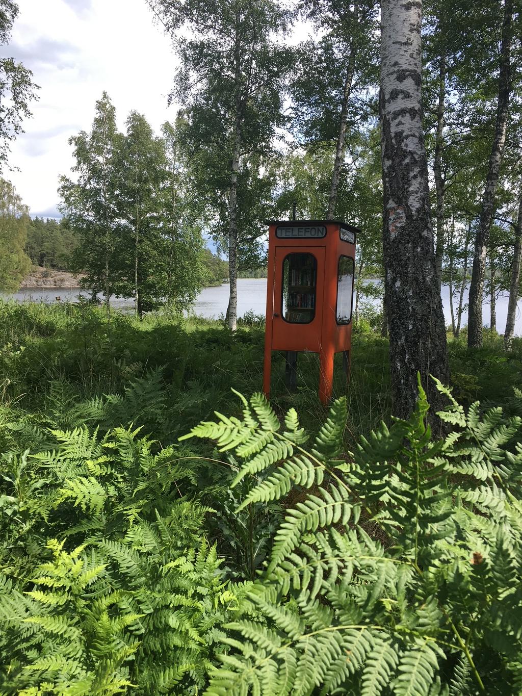 Telefonkiosk som under sommaren fungerar som bibliotek