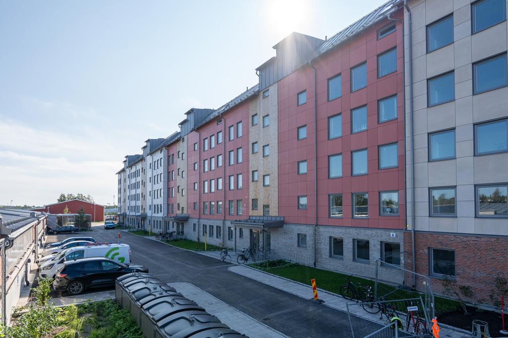 Exteriör