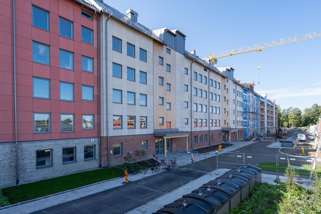 Exteriör