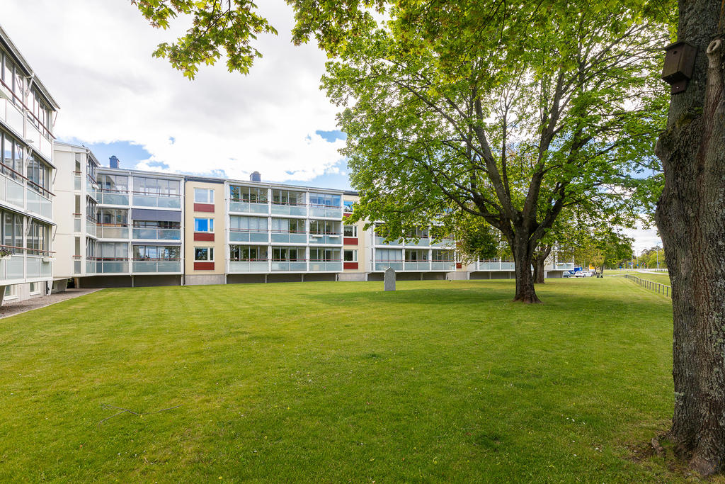 Härliga grönytor